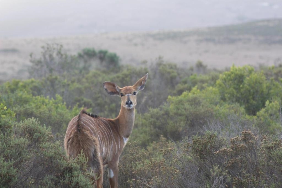  Bedroom Property for Sale in Mossel Bay Rural Western Cape